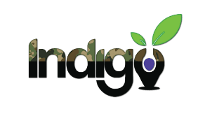 Indigo logo